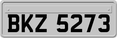 BKZ5273