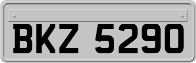BKZ5290