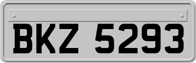 BKZ5293