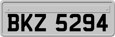 BKZ5294