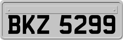 BKZ5299