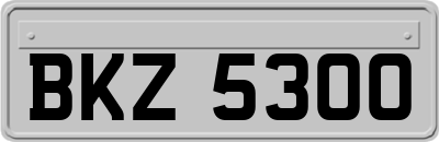 BKZ5300