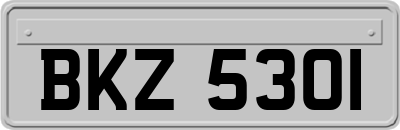 BKZ5301