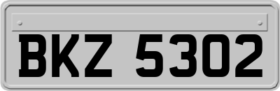 BKZ5302