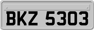 BKZ5303