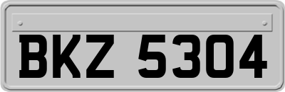BKZ5304