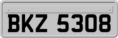 BKZ5308