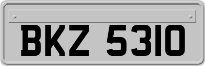 BKZ5310