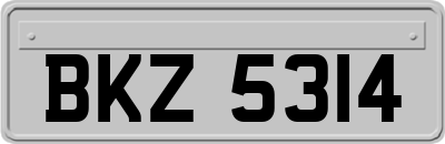BKZ5314
