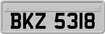 BKZ5318