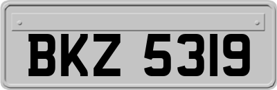 BKZ5319