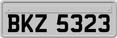 BKZ5323
