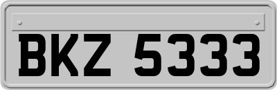 BKZ5333