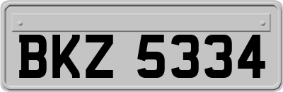 BKZ5334