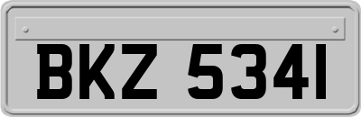 BKZ5341