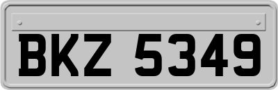 BKZ5349