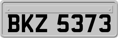 BKZ5373