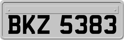BKZ5383