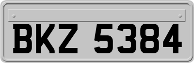 BKZ5384