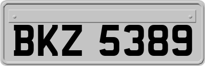 BKZ5389