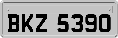 BKZ5390