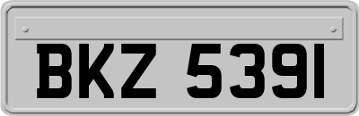 BKZ5391