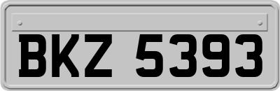 BKZ5393