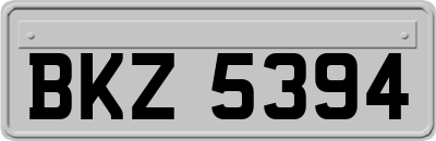 BKZ5394