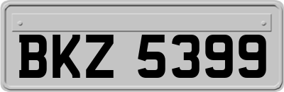 BKZ5399