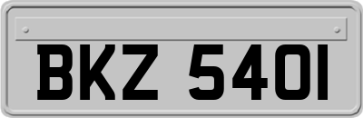 BKZ5401