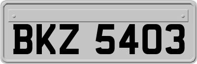 BKZ5403