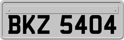 BKZ5404