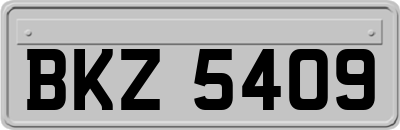 BKZ5409
