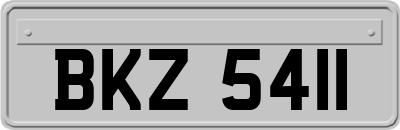BKZ5411