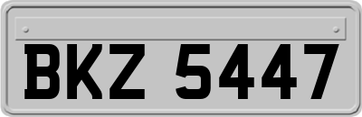 BKZ5447