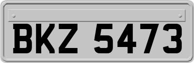 BKZ5473