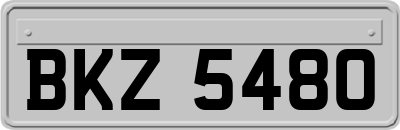 BKZ5480