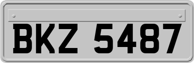 BKZ5487