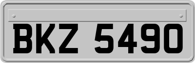 BKZ5490