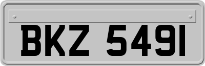 BKZ5491