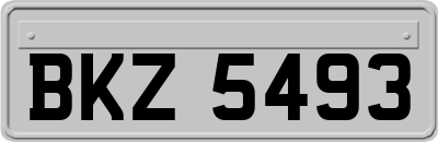 BKZ5493