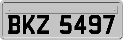 BKZ5497