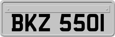 BKZ5501