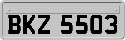 BKZ5503