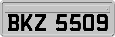 BKZ5509