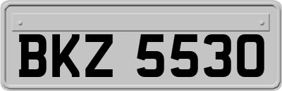 BKZ5530