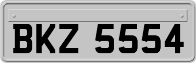 BKZ5554