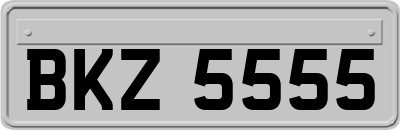 BKZ5555