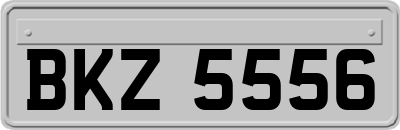 BKZ5556
