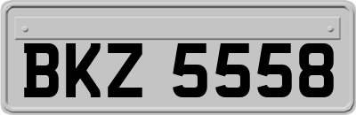 BKZ5558